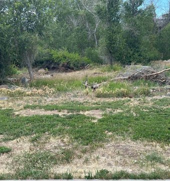Residential Land in Cedaredge, CO