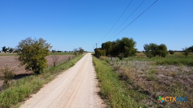 Picture 7