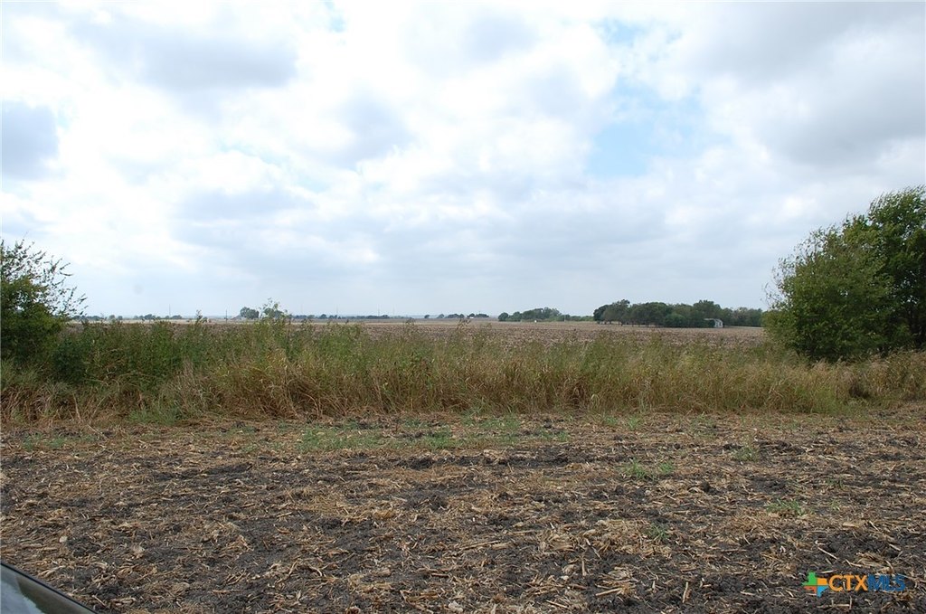 Picture 11