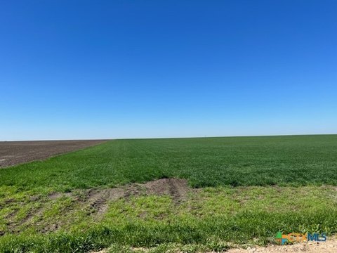 Land, Temple, TX