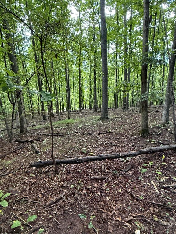 Picture 4