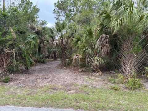 Coastal-Adjacent Land Tract with Driveway