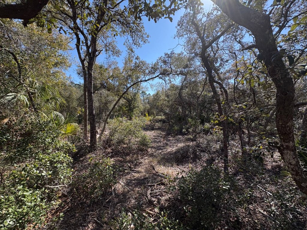 Picture 29