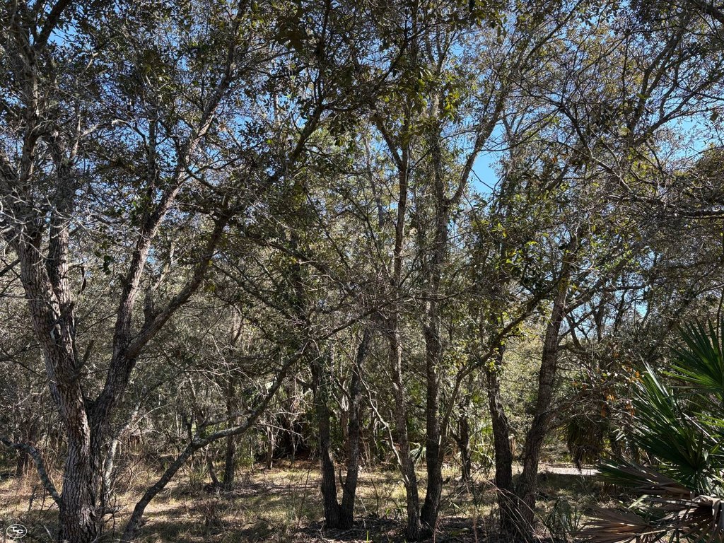 Picture 40