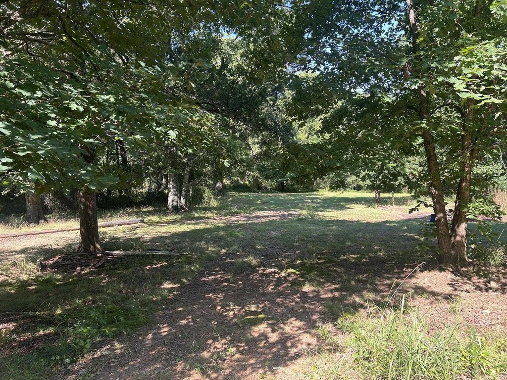 Picture 14