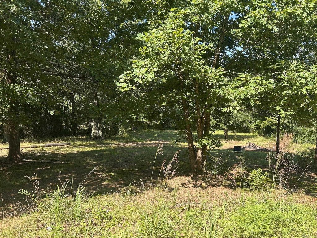 Picture 13