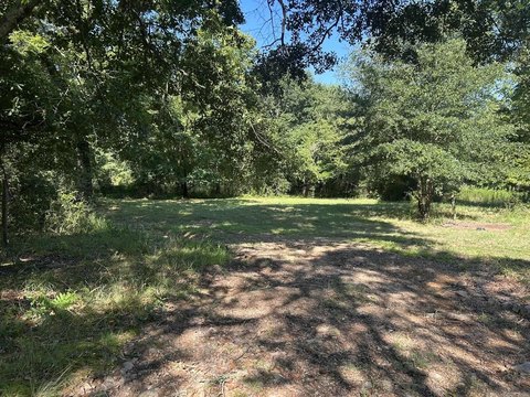 LAND - Mena, AR