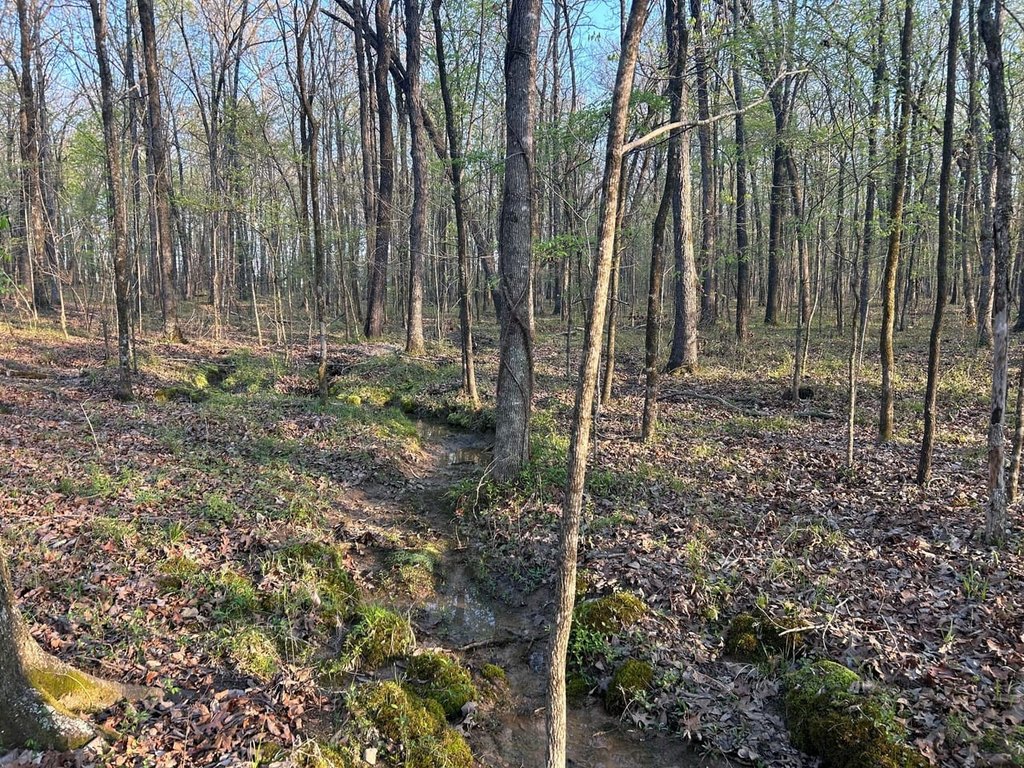 Picture 4