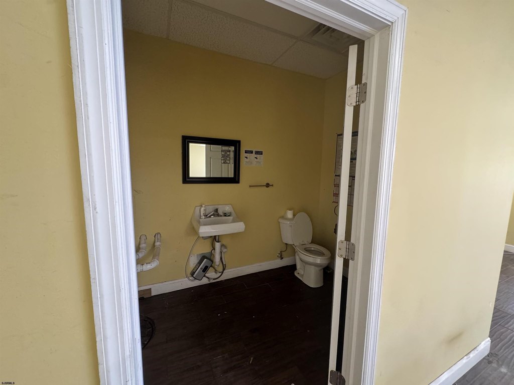 Picture 5