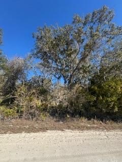 Residential Land Near Suwannee River