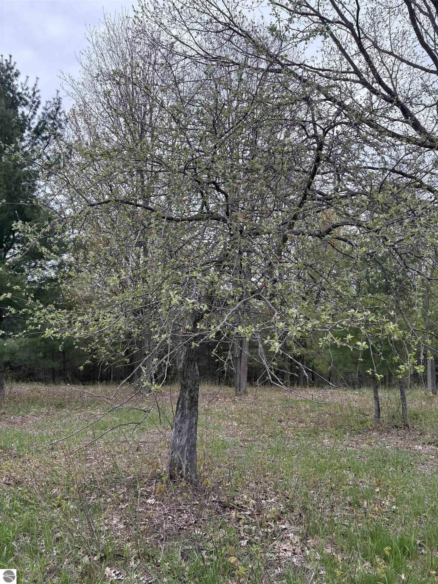 6.7 Acre Corner Lot