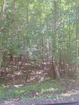 LAND - Morganton, GA