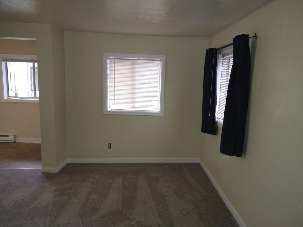 Picture 26