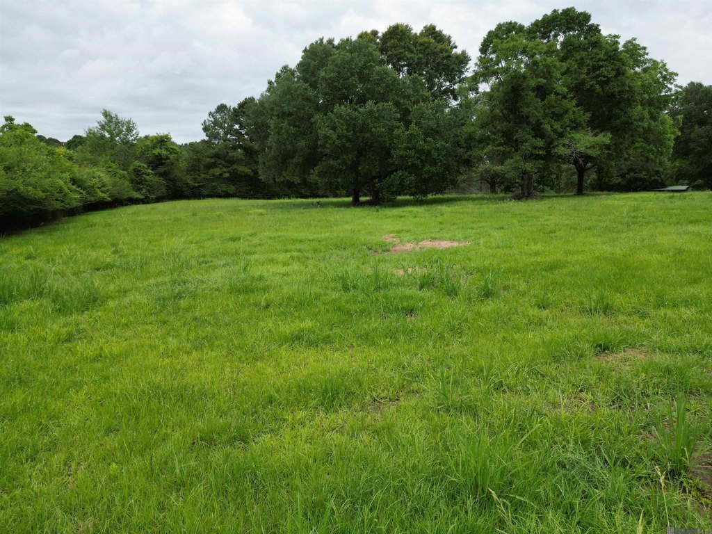 Picture 11