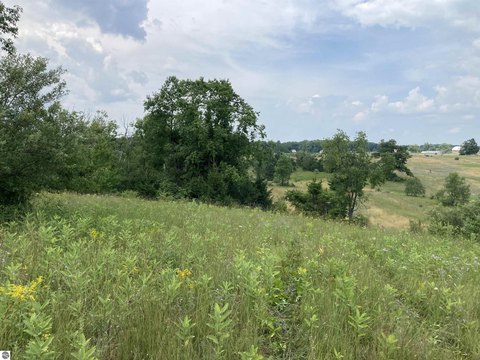 Vacant Lot/Land, Rose City, MI