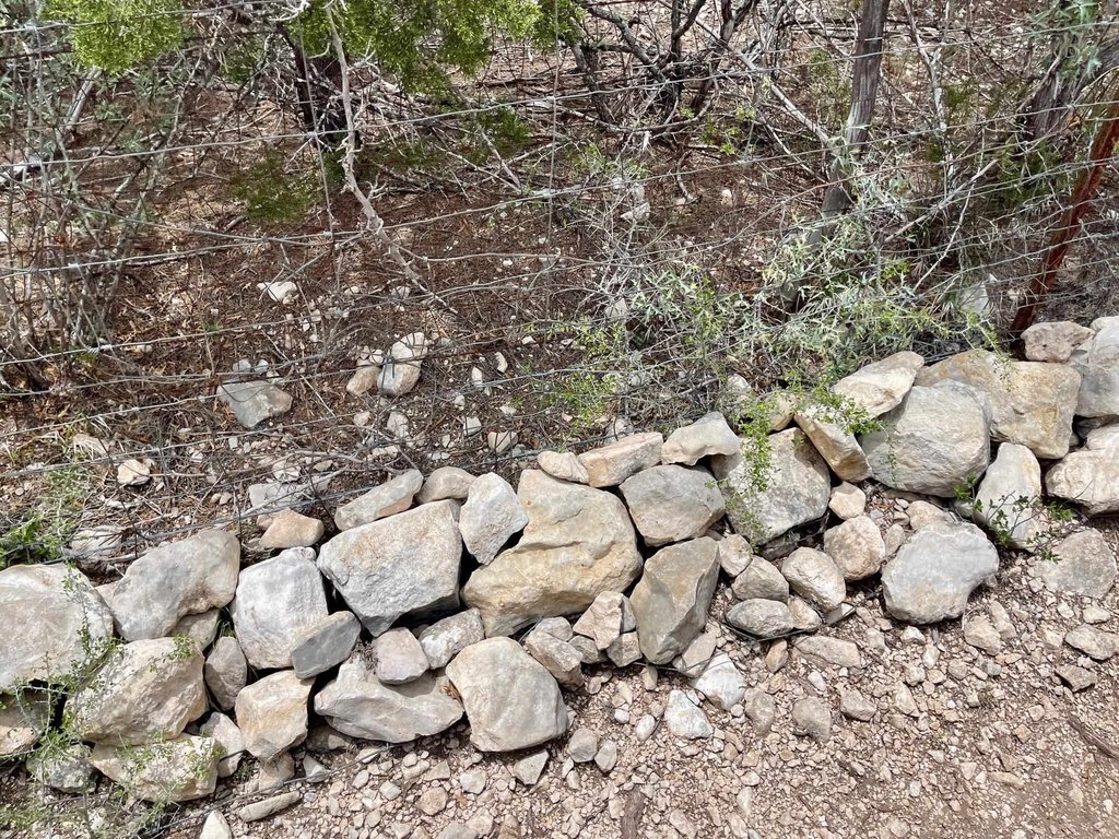 Picture 12
