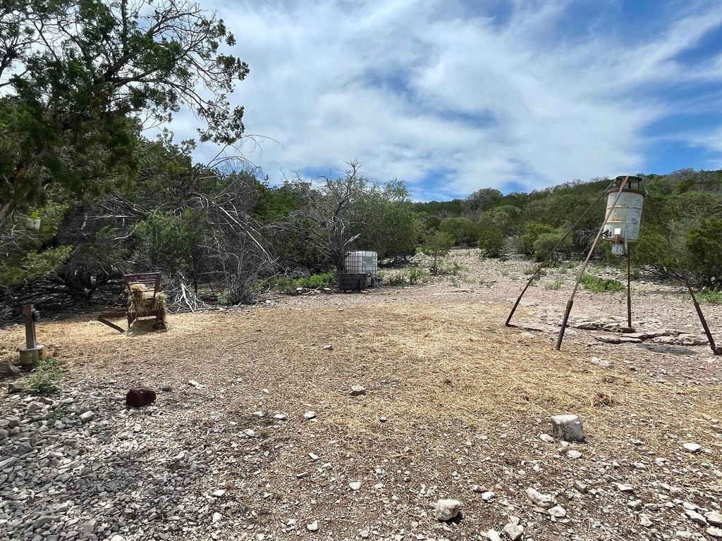 Picture 23