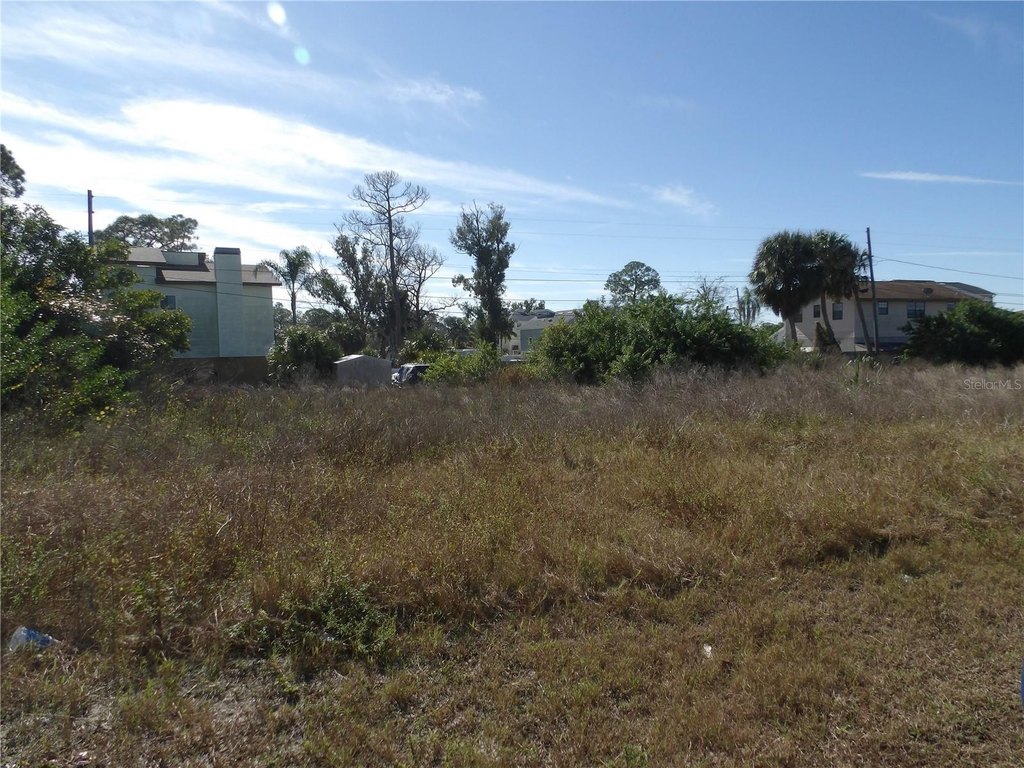 Picture 5