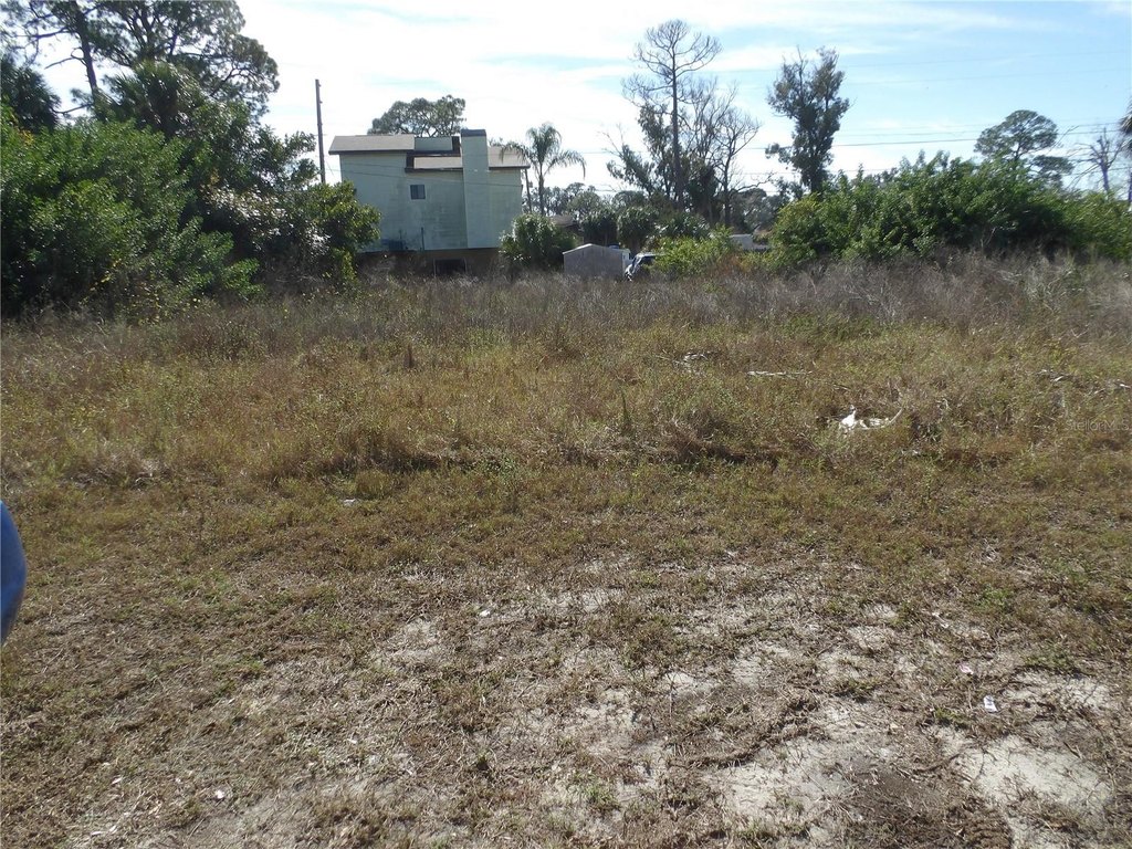 Picture 6