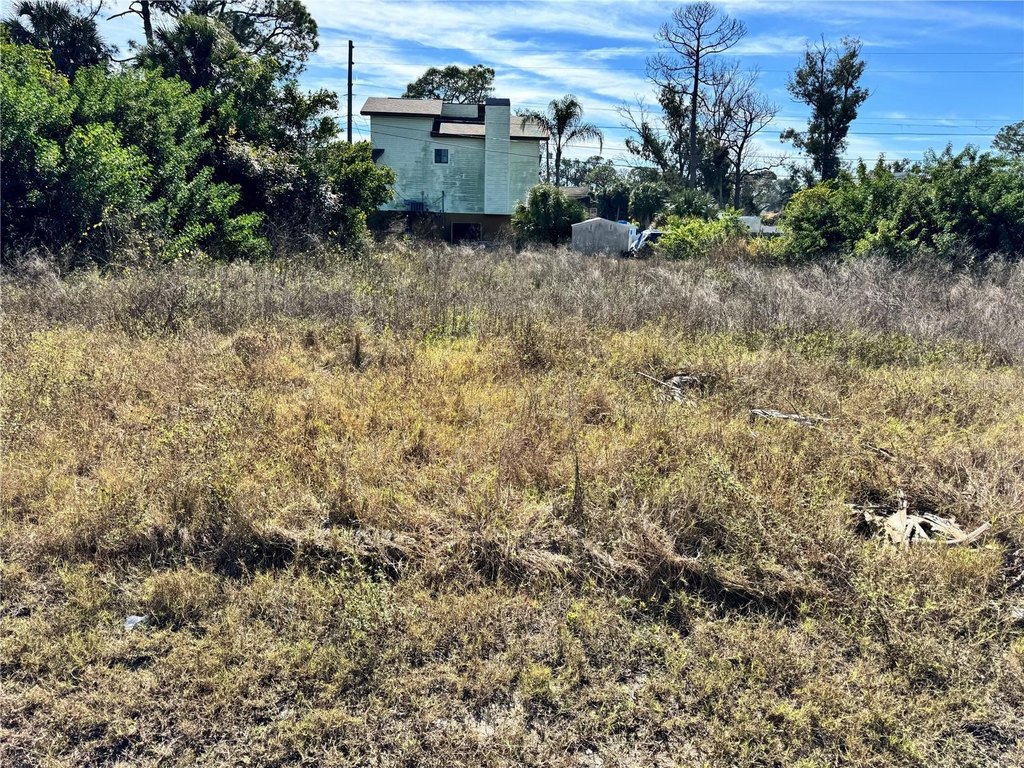 Picture 17