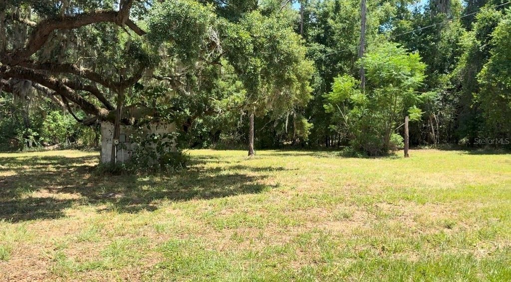 Picture 2