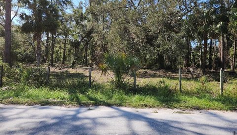 Buildable Lot in Cross City