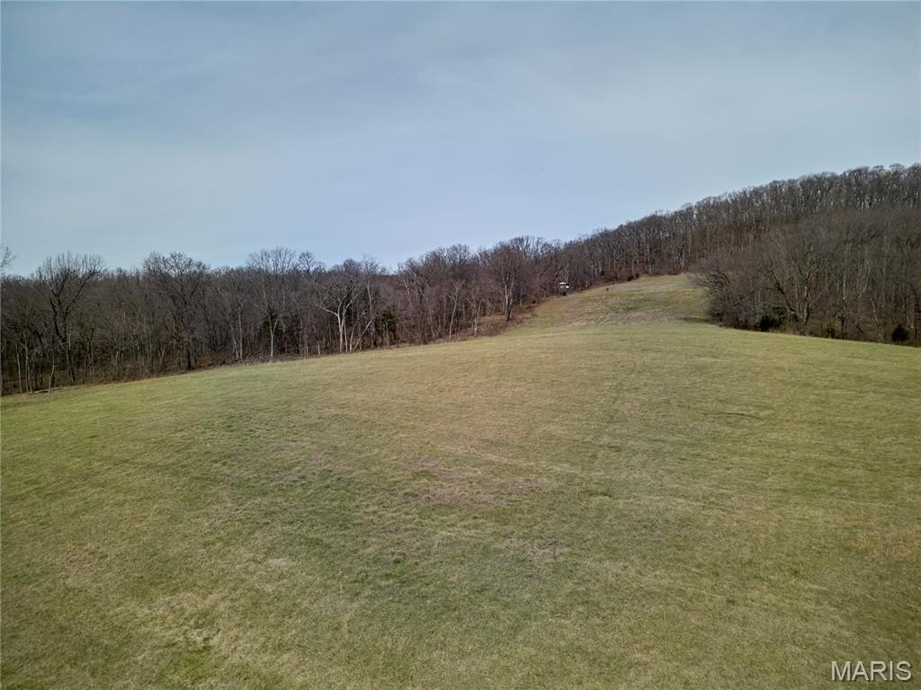 Picture 16