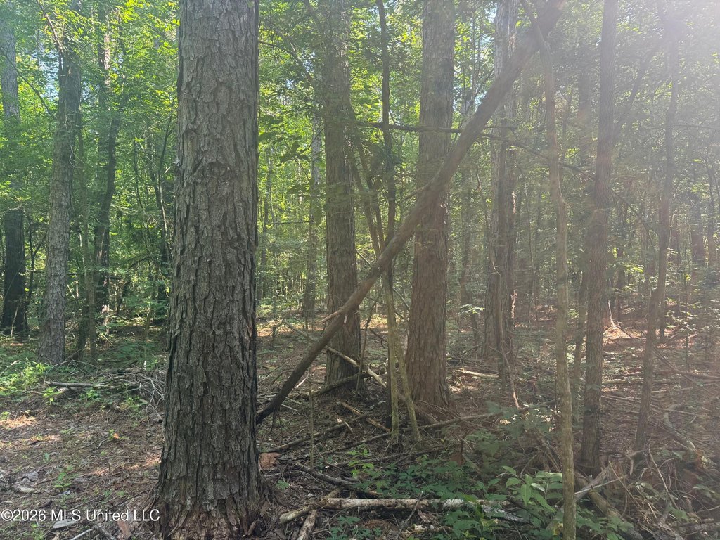 Picture 16