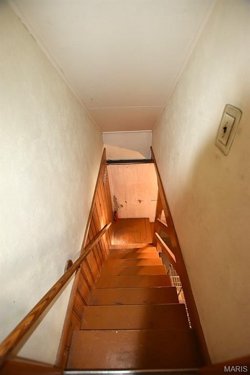 Picture 22
