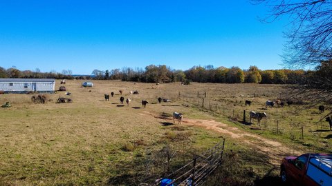 Expansive Land Parcel in Gilmer