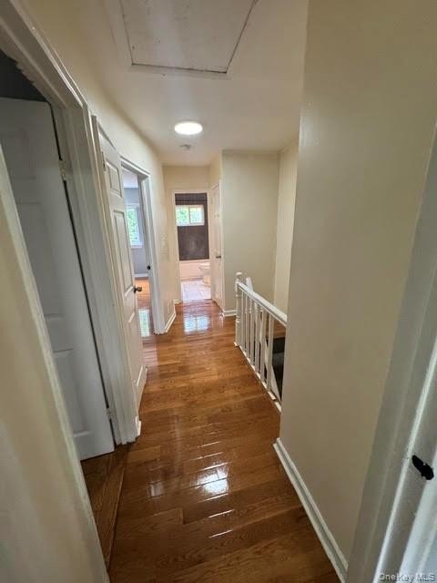 Picture 25