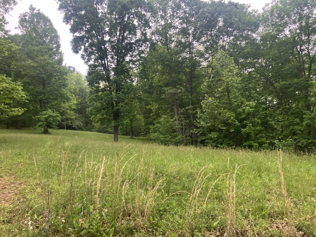 Picture 27