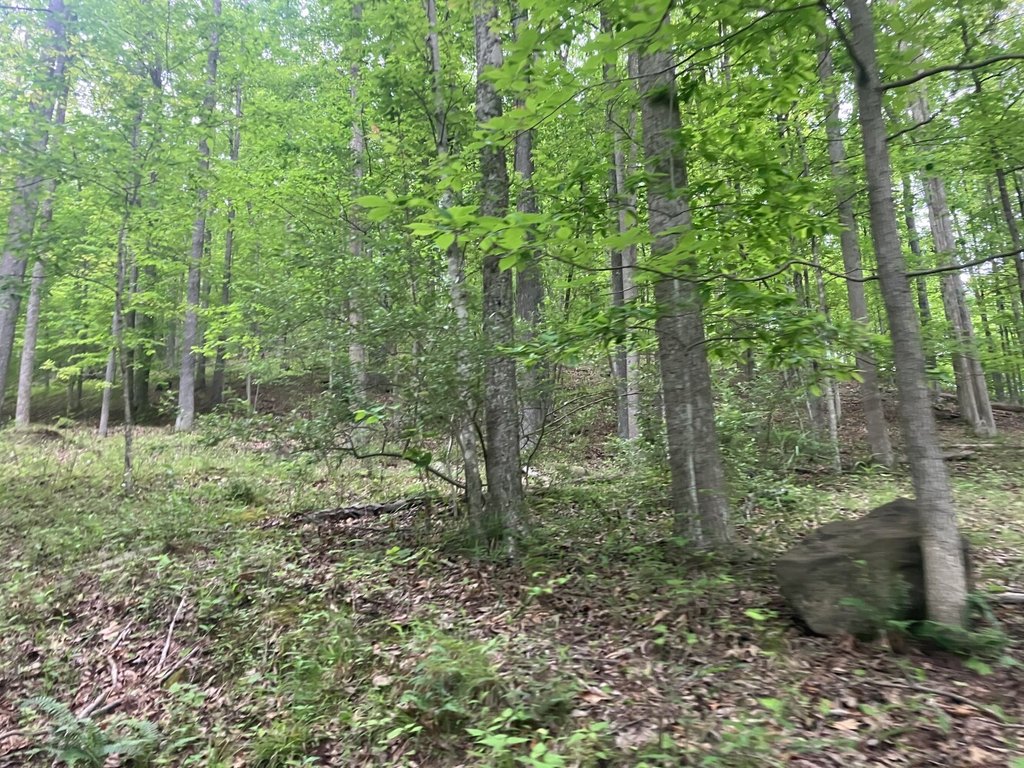 Picture 31