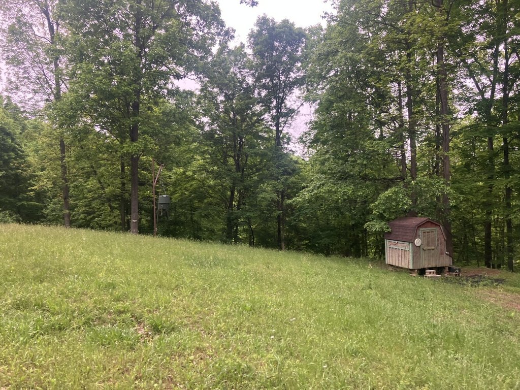 Picture 26