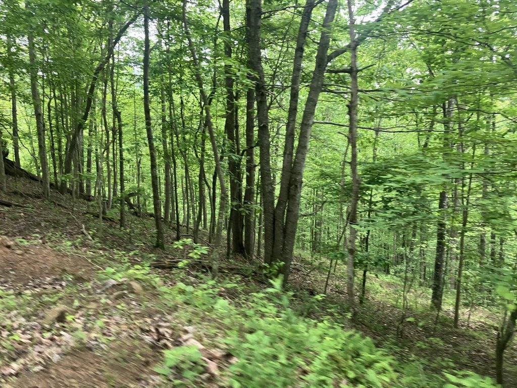 Picture 28