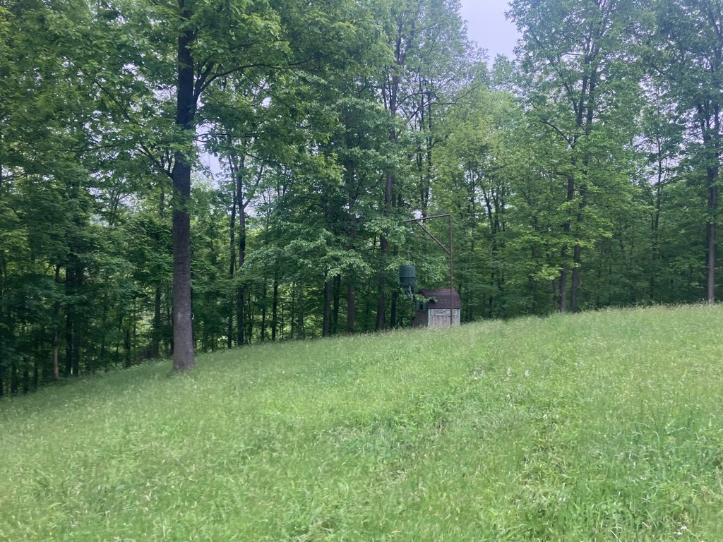 Picture 25