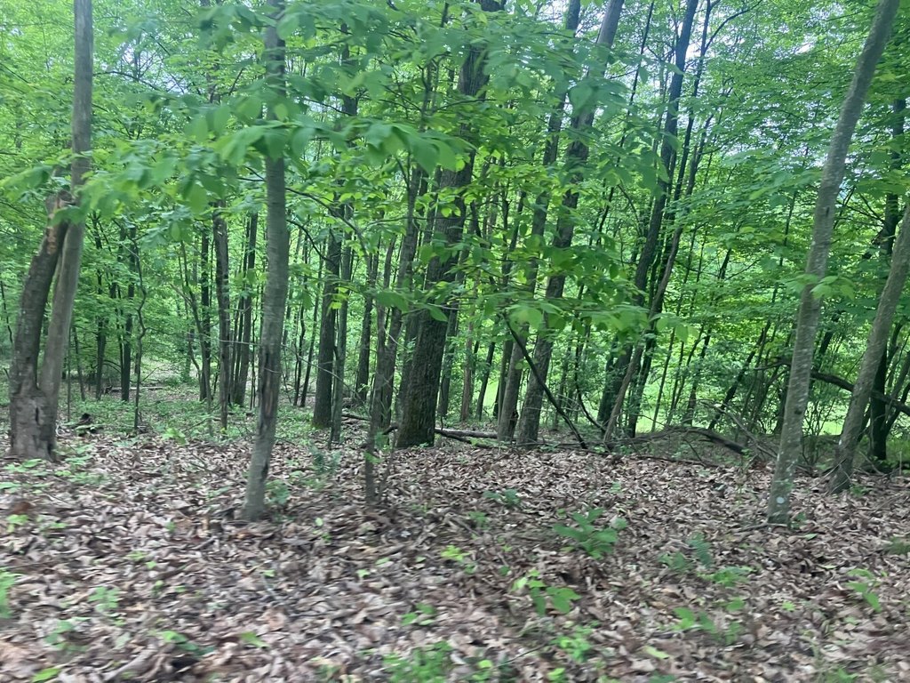 Picture 17