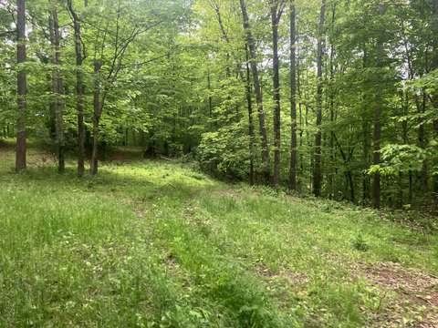Timberland and Hunting Tract