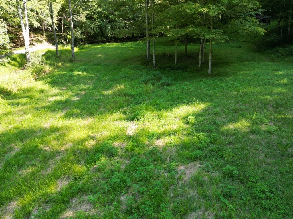 Picture 4