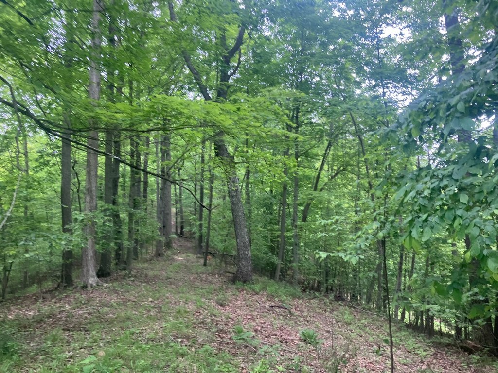 Picture 18