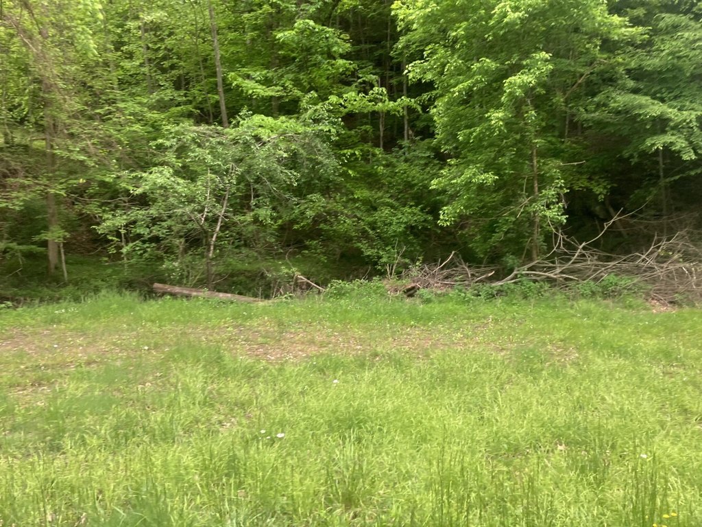 Picture 42