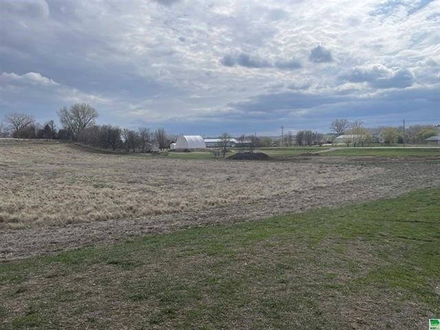 Picture 3