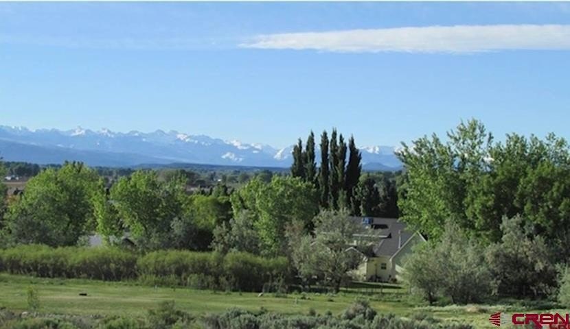Montrose, CO Land For Sale