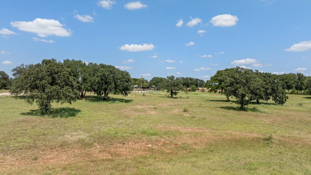 Picture 18