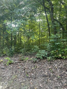 Land, Franklin, IN