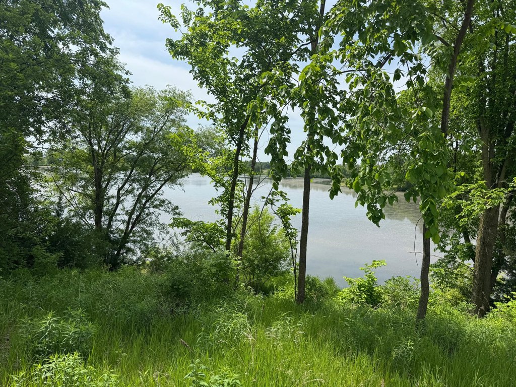 Picture 22