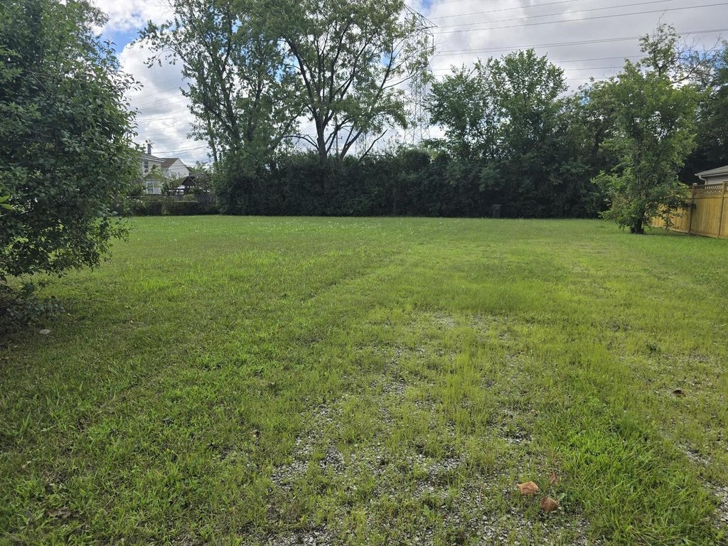 Picture 2