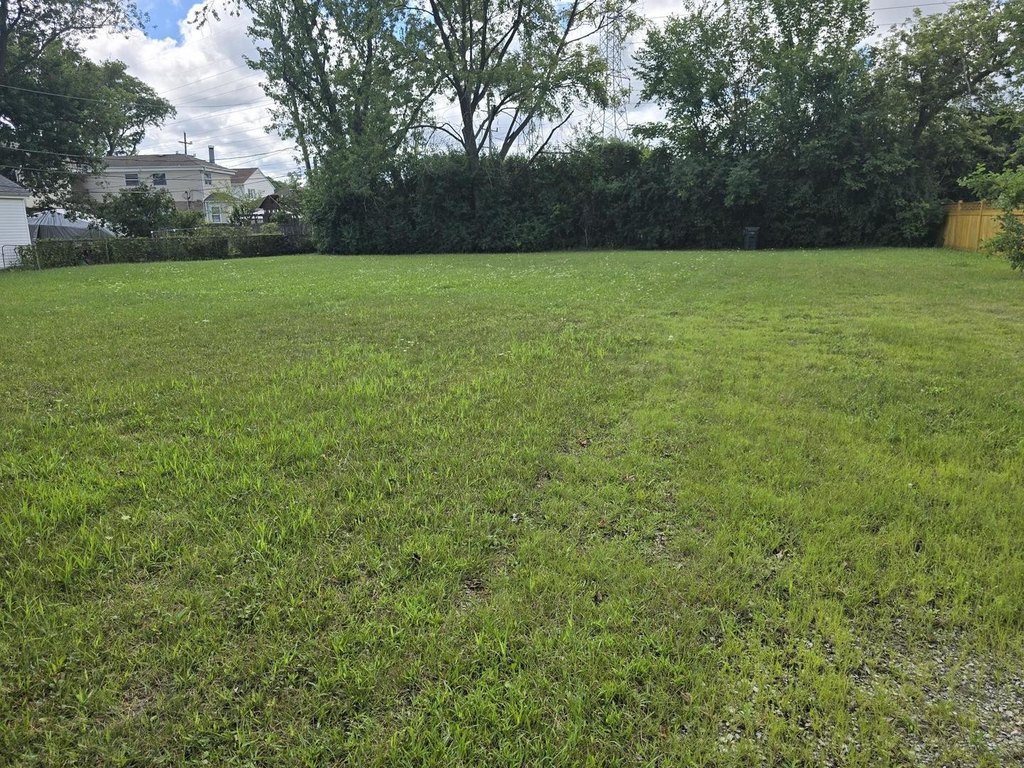 Picture 3