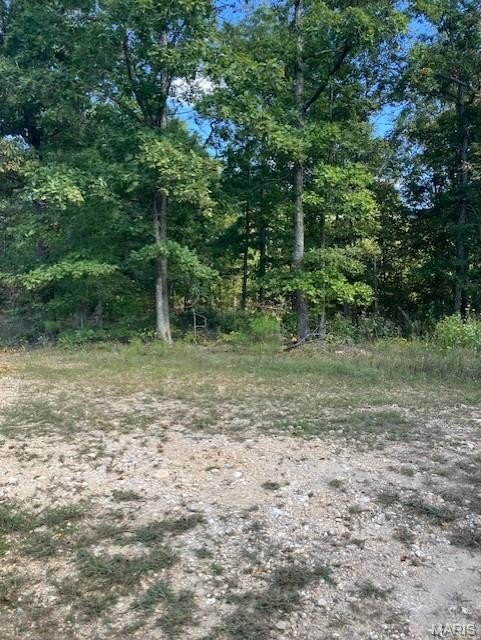 Ozark Land with Creek Access