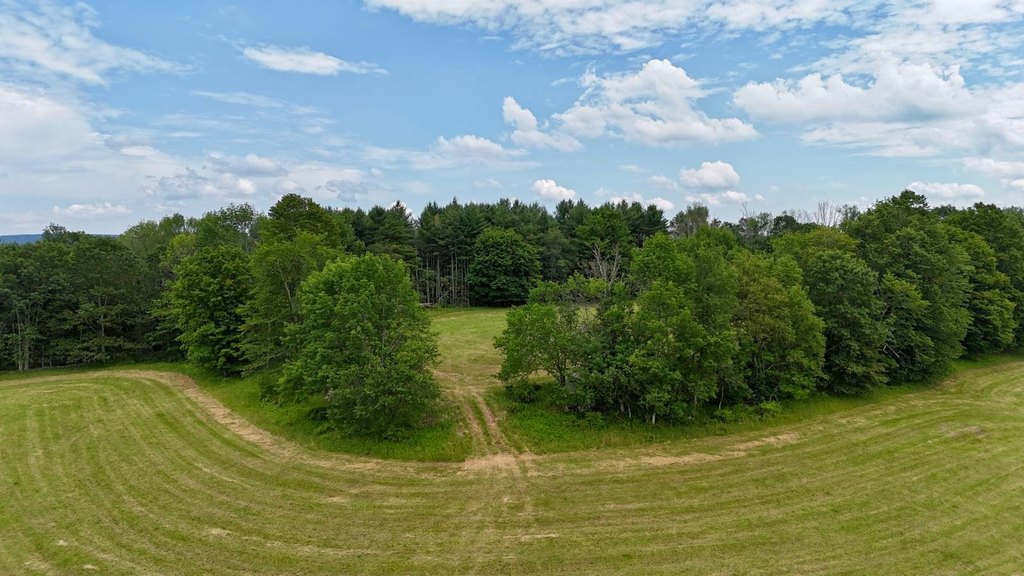 Picture 12